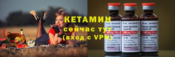a pvp Бородино