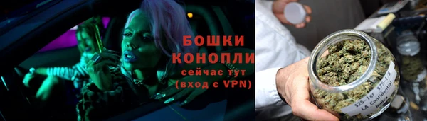 тгк Богородск
