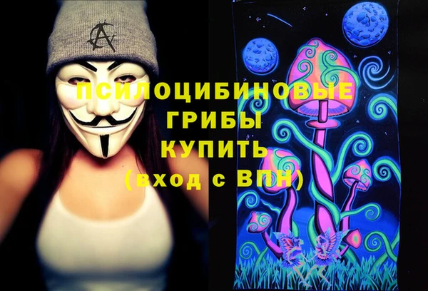 тгк Богородск