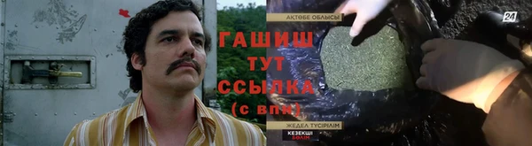 a pvp Бородино