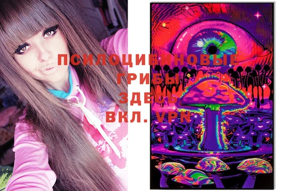 mdpv Бугульма
