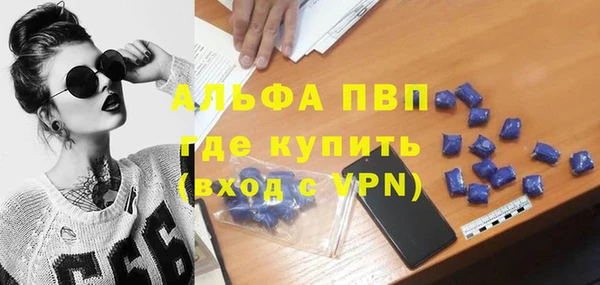 спайс Богданович