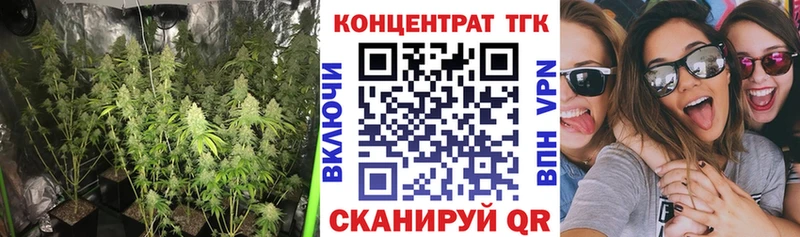 продажа наркотиков  Улан-Удэ  Дистиллят ТГК концентрат 