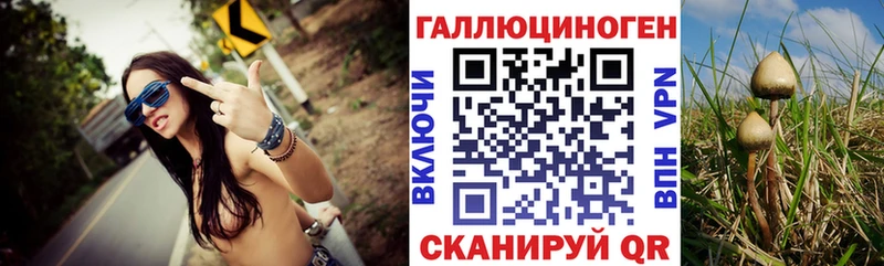 Галлюциногенные грибы GOLDEN TEACHER Улан-Удэ